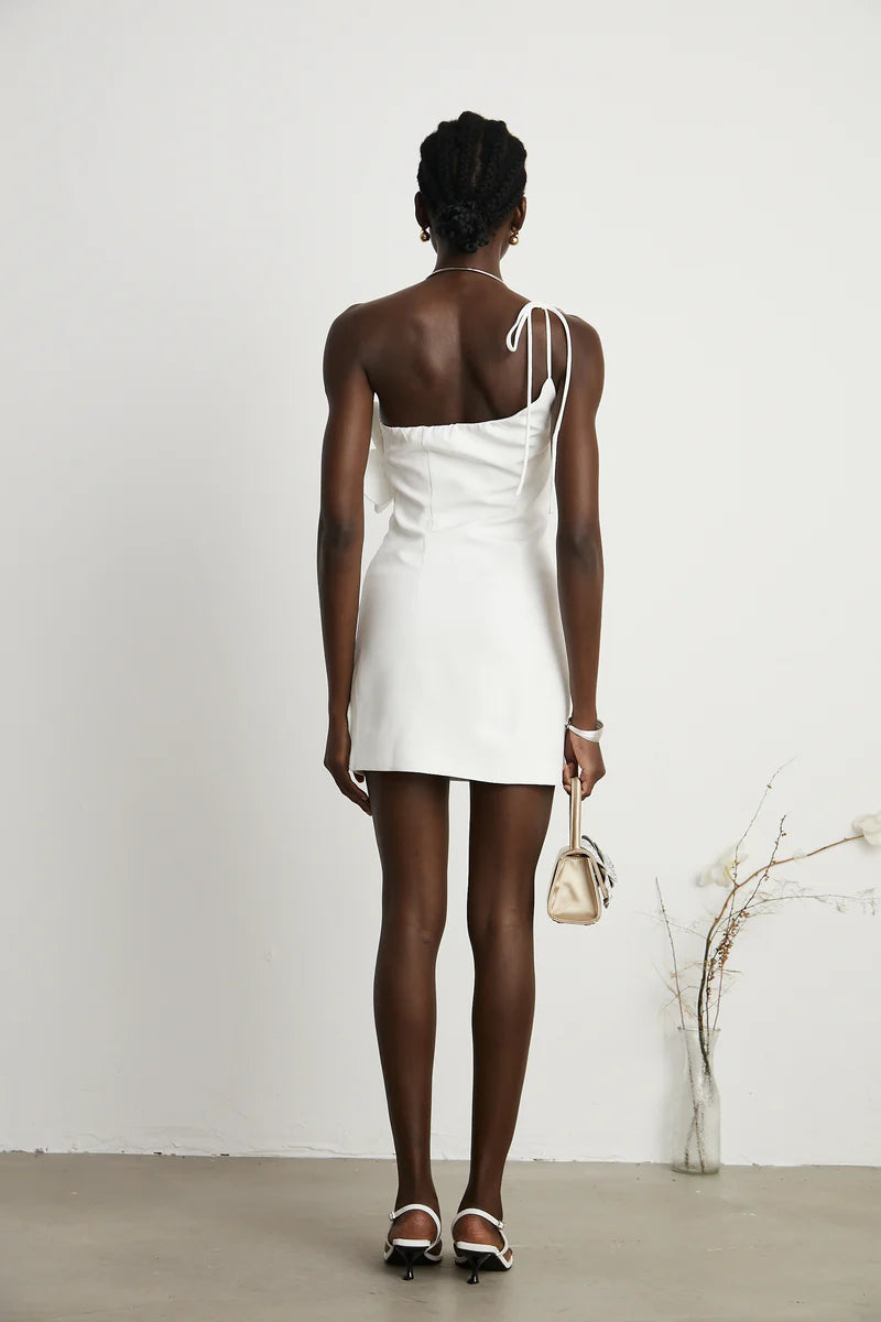It Girl Mini Dress