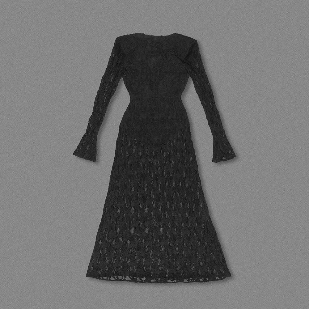 Black Lace Plunge Maxi Dress | Sheer Long Sleeve Evening Dress