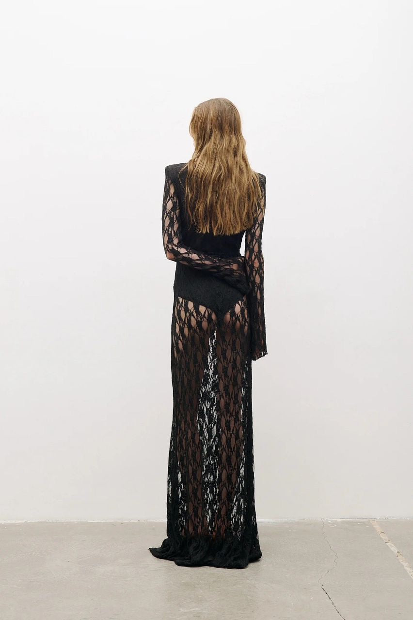 Black Lace Plunge Maxi Dress | Sheer Long Sleeve Evening Dress